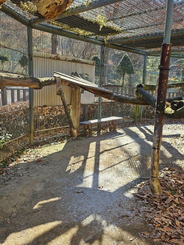 🐯동물들을 사랑하는 동물원 청주랜드동물원 다녀오기🦁 🐯동물들을 사랑하는 동물원 청주랜드동물원 다녀오기🦁