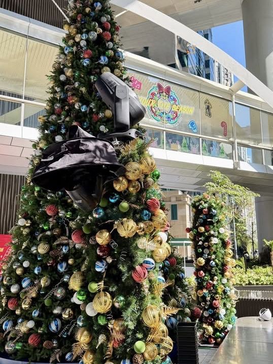 Glacier Grove on Luminous Lane