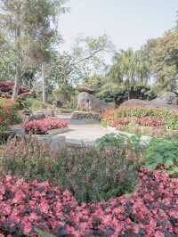 ดอยตุง จ.เชียงราย