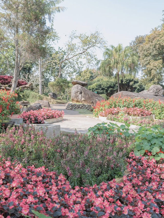 ดอยตุง จ.เชียงราย ดอยตุง จ.เชียงราย