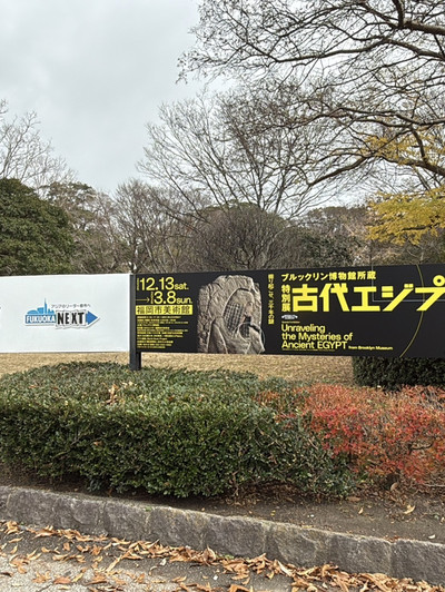 Fukuoka Art Museum | Experiencing the Long-Awaited Mummy