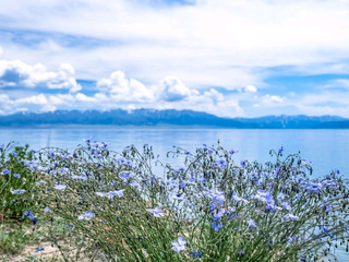 🌼 Sayram Lake | A Fairytale Morning by the Water