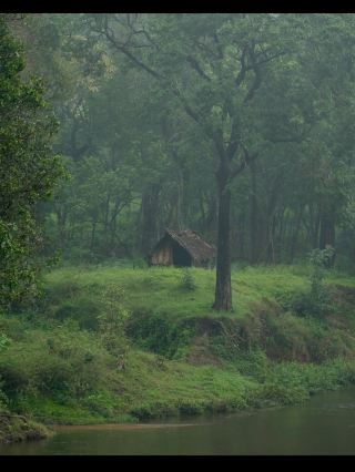 Gangamati Reserved Forest 