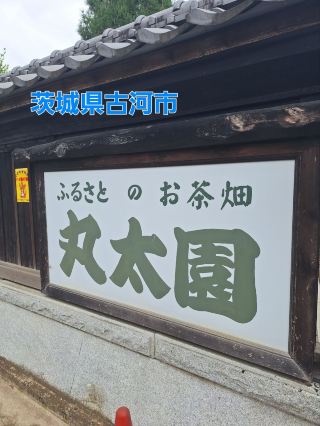 お茶屋さんで急遽、栗🌰拾い‼️