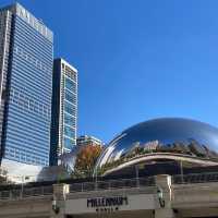 Chicago millennium park 