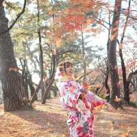 小眾賞紅葉的地方-名古屋城賞楓