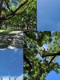 🌲高雄的都市綠洲：中央公園的神奇冒險🏞️ 