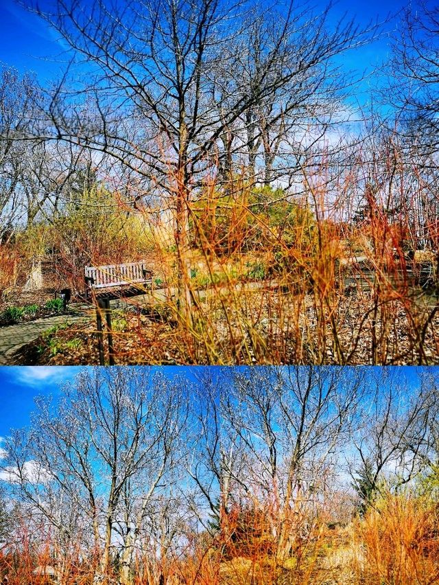 麥迪遜Olbrich Botanical Gardens (奧爾布里希植物園)