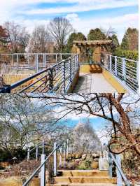 麥迪遜Olbrich Botanical Gardens (奧爾布里希植物園)