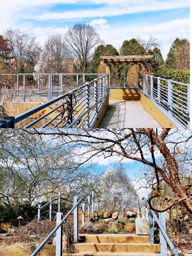 麥迪遜Olbrich Botanical Gardens (奧爾布里希植物園)