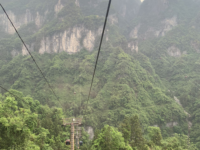 Zhangjiajie fairytail