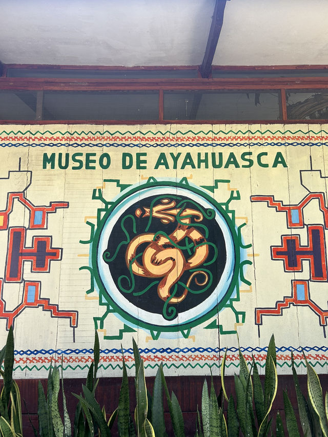 🪷世界初のアヤワスカ博物館へ🇵🇪ペルー【タラポト】