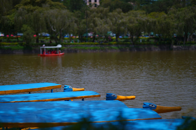  Late Afternoon at Burnham Park, Baguio