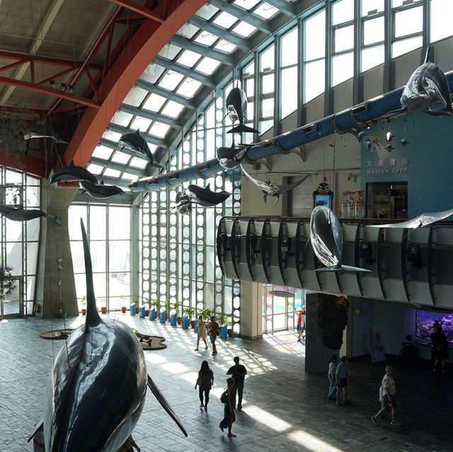🌊屏東海生館:海洋生物的展示與教育中心🐠 🌊屏東海生館:海洋生物的展示與教育中心🐠