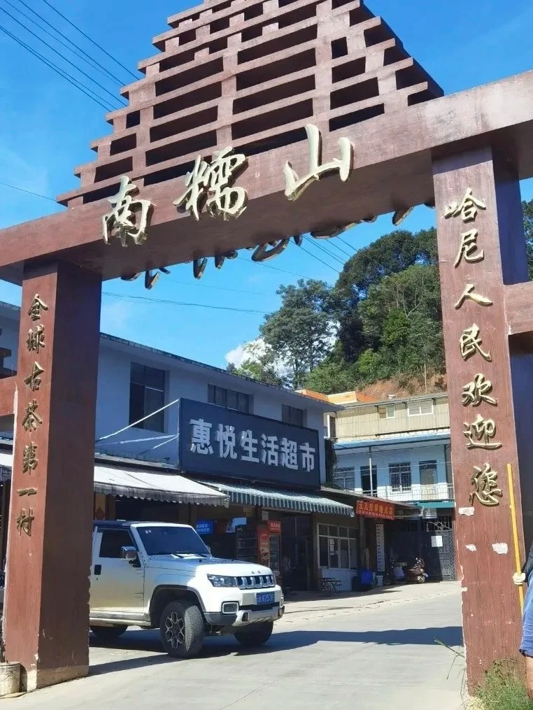 南糯山古茶园 参考图 4