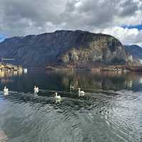 Viewpoint Hallstatt