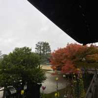 追溯古代日本傳統美學之旅：京都嵯峨野大覺寺 