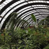 Monteverde butterfly gardens 🦋🦋
