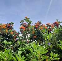 Esposende - a hidden gem of sunny Portugal