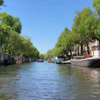 Ambling Through Amsterdam's Allure