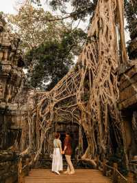 A 타 프롬 사원 씨엠립,, 캄보디아