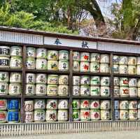 ⛩️鶴岡八幡宮⛩️建於11 世紀✨️傳統的江戶建築風格✨️