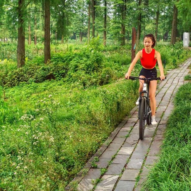 Wuhan beauty