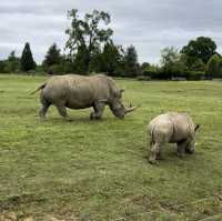 Cotswold Wildlife Park: Beautiful, spacious & intimate 