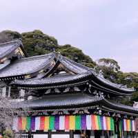 💯 Cultural Experience in 🇯🇵 - Perfect day trip from Tokyo!