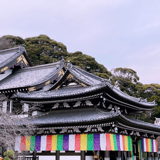 💯 Cultural Experience in 🇯🇵 - Perfect day trip from Tokyo!