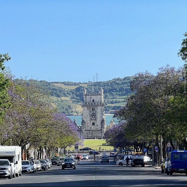 <葡萄牙 Lisbon 🇵🇹> 漫天飛花 💜