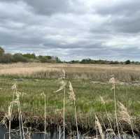 The perfect Fen
