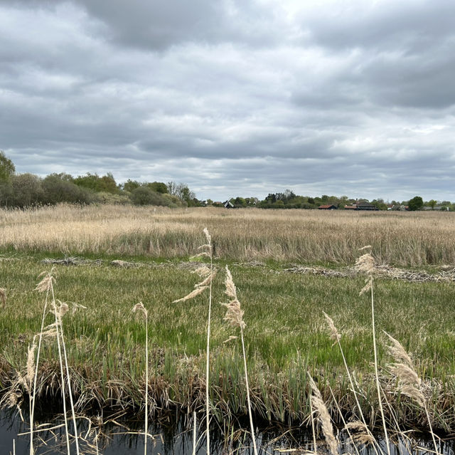 The perfect Fen