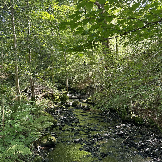 A leisurely day in Lake Distric 