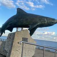 Aquarium in Hull!