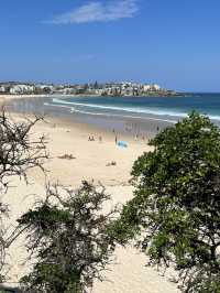 🌊 Coastal Bliss: Hiking from Coogee to Bondi Beach 🥾🏝️