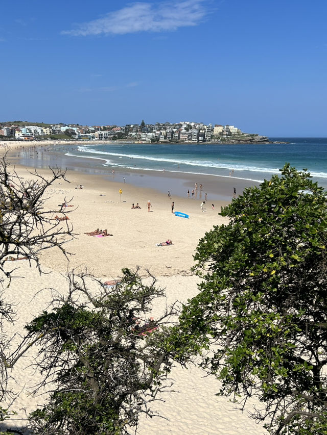 🌊 Coastal Bliss: Hiking from Coogee to Bondi Beach 🥾🏝️