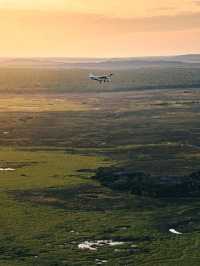 Roadtrip to Kakadu National Park: A Must-Do Aussie Adventure! 🚗🌳✈️