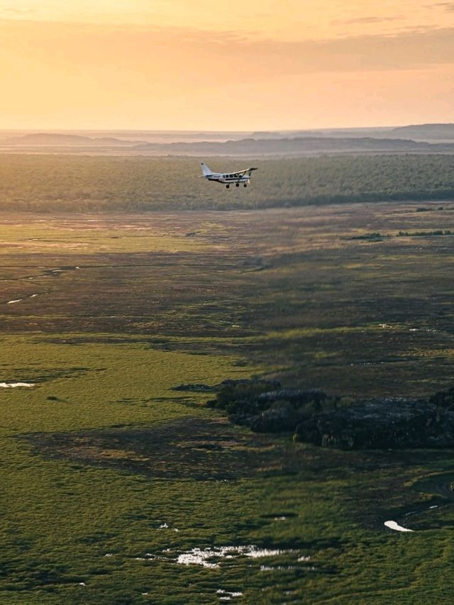 Roadtrip to Kakadu National Park: A Must-Do Aussie Adventure! 🚗🌳✈️