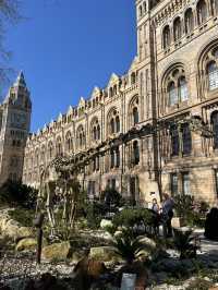 3 museums in London for free