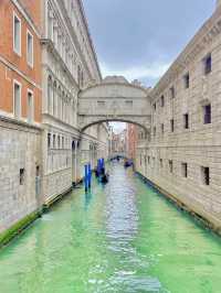 【イタリア🇮🇹】奇跡の水上都市、ヴェネツィアで1日の過ごし方🚤