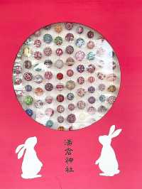 A shrine where you can meet cute "rabbits"