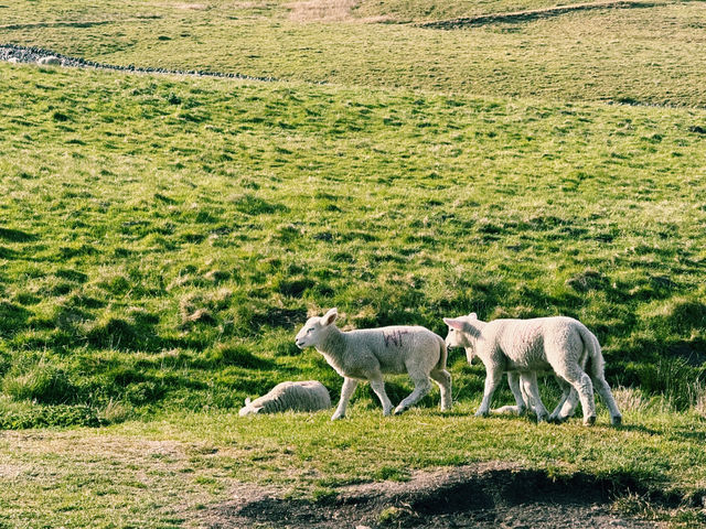 🌄🚆 Escape Manchester: Day Trip to the Stunning Peak District! 🌿🍃