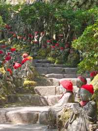 Miyajima Magic: From Floating Torii to Mountain Views