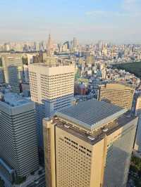 ✨ Best Spots for Tokyo Skyline Views: Free and Paid Options