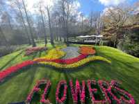 Into the World of Tulips: A Journey to Keukenhof