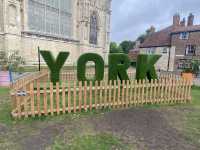 York First Timer!