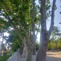 Beautiful Promenade in Siófok Day and Night