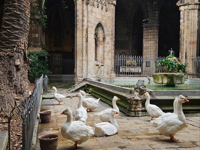🌇 Barcelona Essentials: 3 Perfect Days of Culture, Coast & Charm