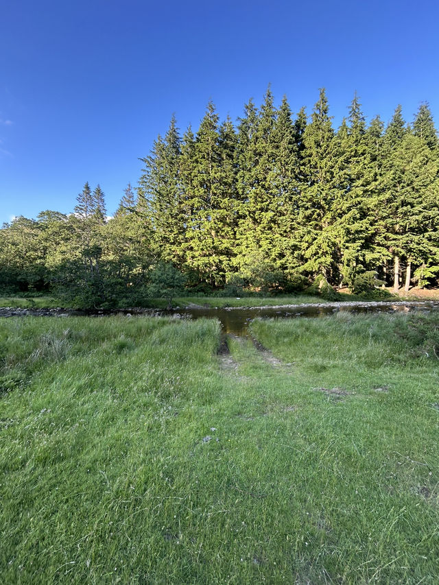 Down by the river